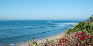 The Surfers Guide to Los Angeles - Rider Shack