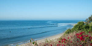 The Surfers Guide to Los Angeles