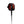 FCS 8ft All Round Essential Surf Leash