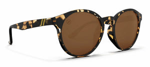 Blenders Coastal X2 Gloss Tort Amber Sunglasses