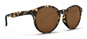 Blenders Coastal X2 Gloss Tort Amber Sunglasses - Rider Shack