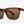 Electric Knoxville XL Matte Tort/Bronze - Rider Shack