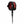 FCS 6ft All Round Essential Surf Leash - Rider Shack