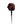 FCS 7ft All Round Essential Surf Leash - Rider Shack