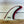 Rainbow Fin Company 6