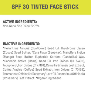 Raw Elements Tinted Bronze Stick SPF 30 - Rider Shack