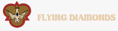 Flying Diamonds Fins